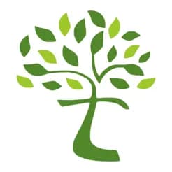 Network Tree