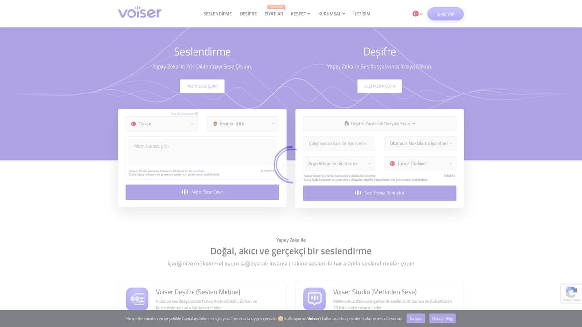 Voiser screenshot 1