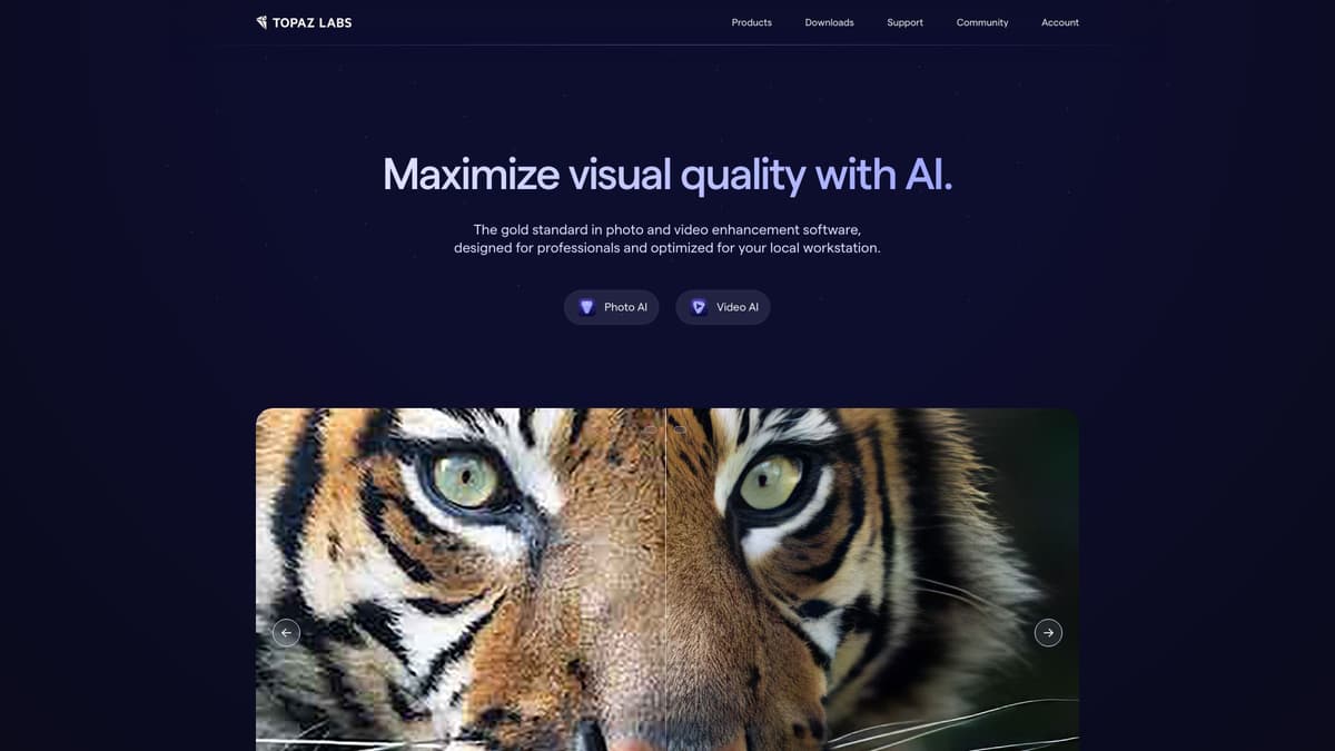 Topaz Labs screenshot 1