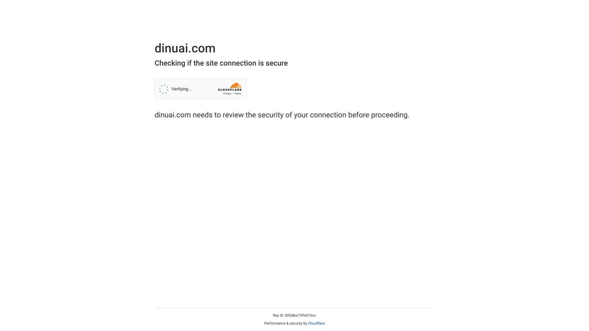 DinuAI screenshot 1