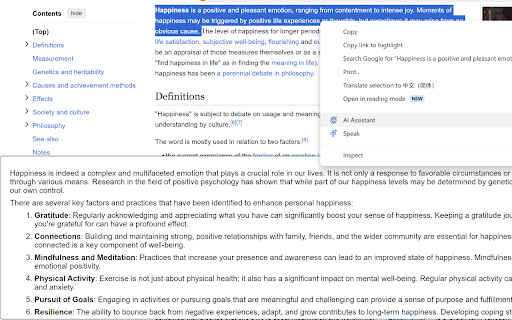Google Gemini screenshot 1