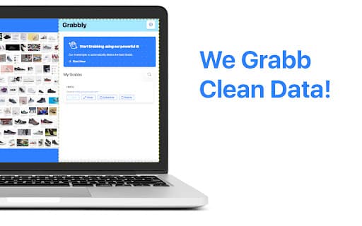 LDA Labs Web Data Grabber screenshot 1