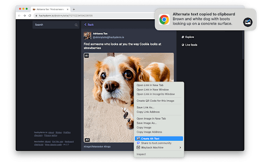 Alt Text Creator screenshot 1