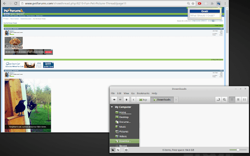 Grab 'n Tag screenshot 1
