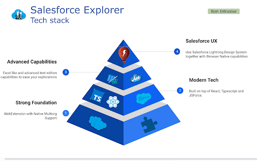 Salesforce Explorer screenshot 1