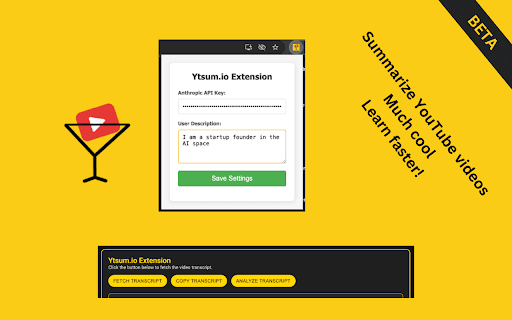 YTSum screenshot 1