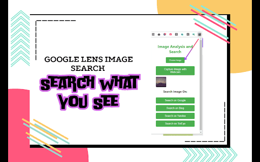 Google Lens Image Search Extension screenshot 1