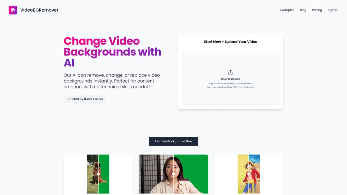 VideoBGRemover screenshot 1