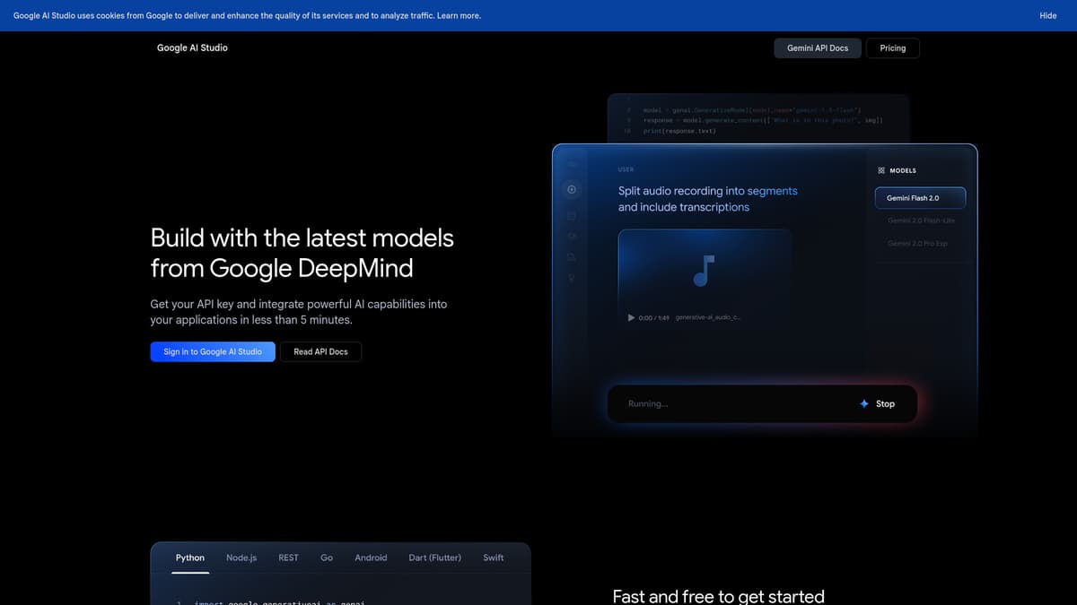 Google AI Studio screenshot 1