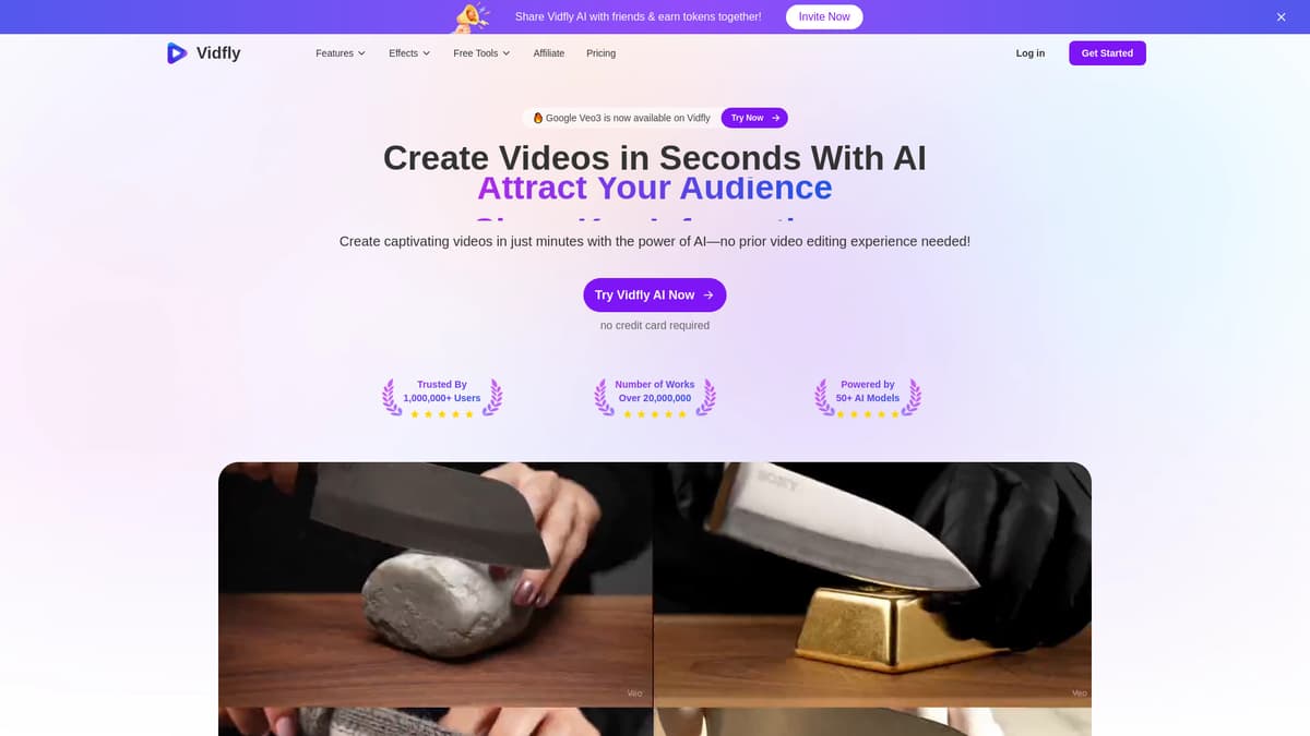 Vidfly screenshot 1