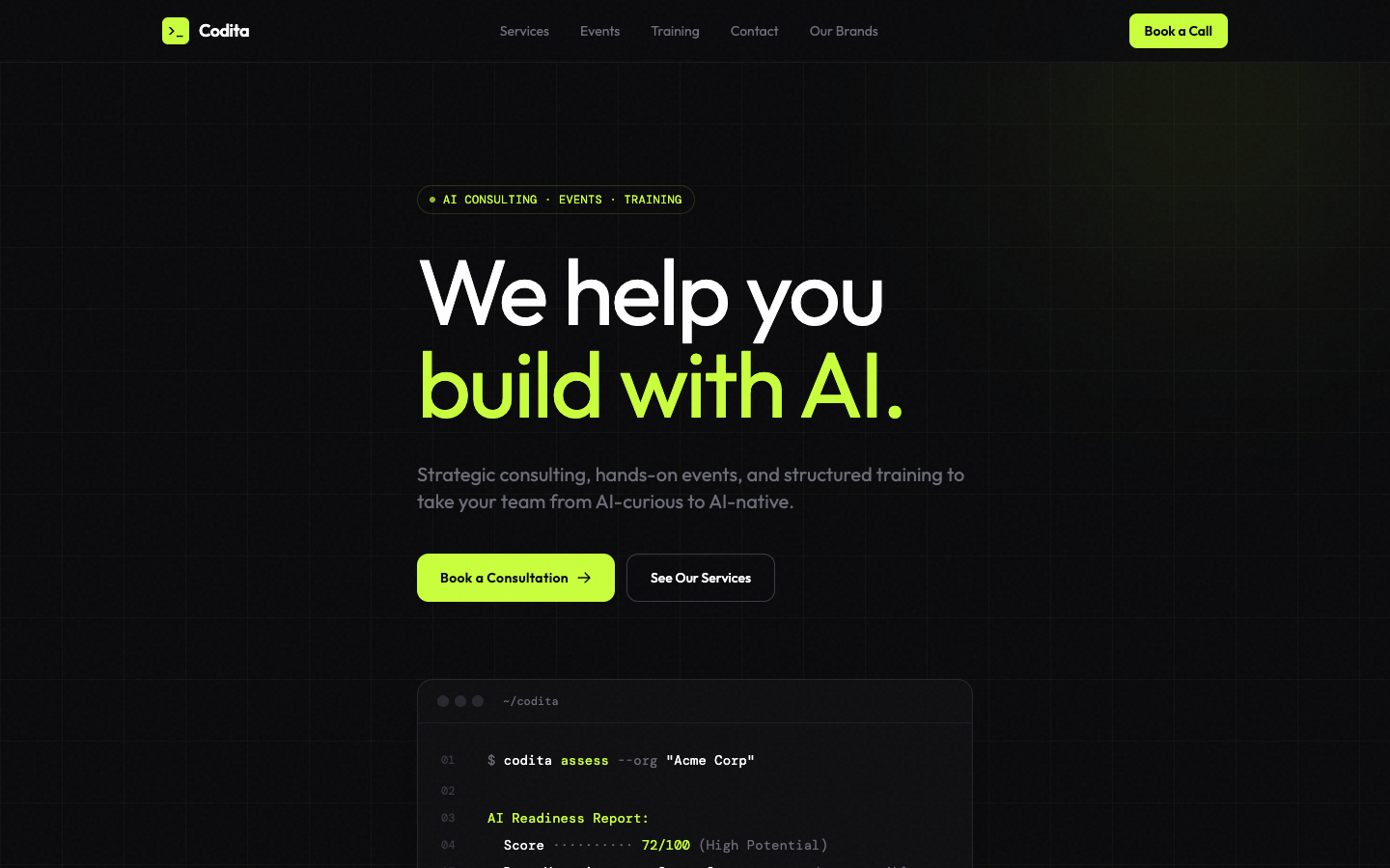 Codita homepage screenshot