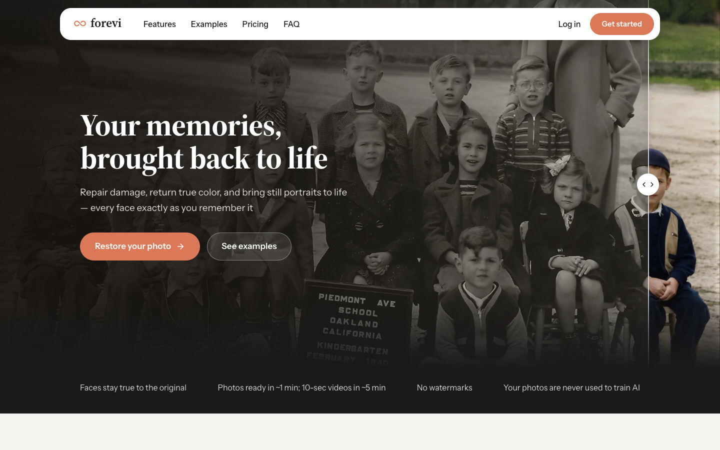 forevi homepage screenshot