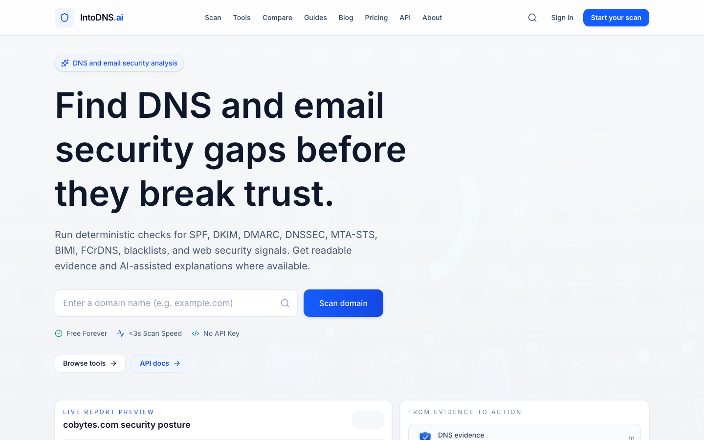 IntoDNS.ai homepage screenshot