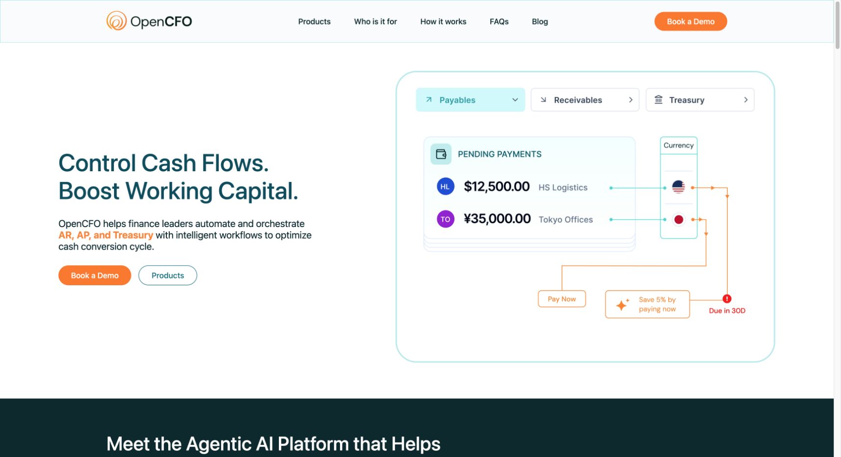 OpenCFO landing_page