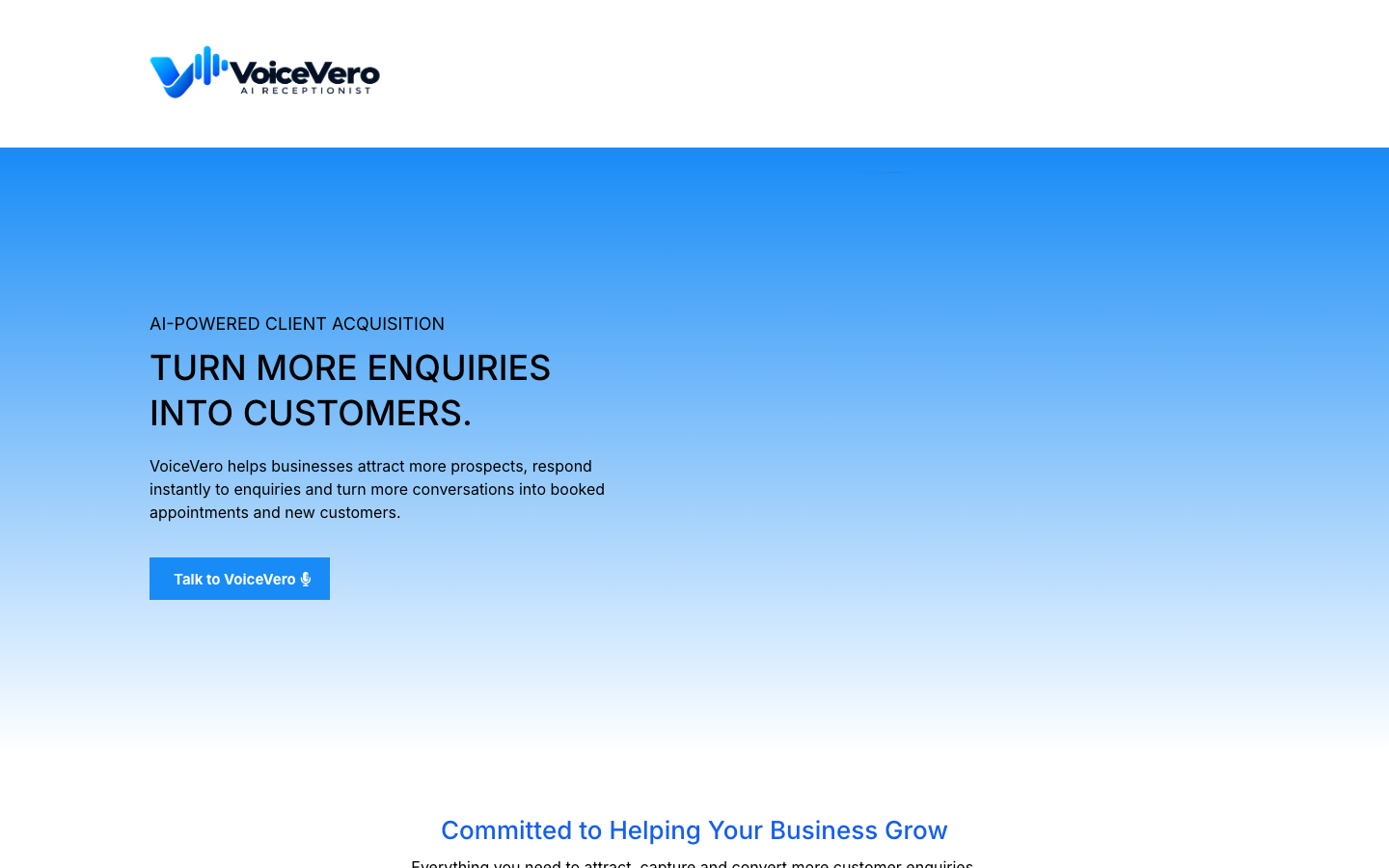 VoiceVero landing_page