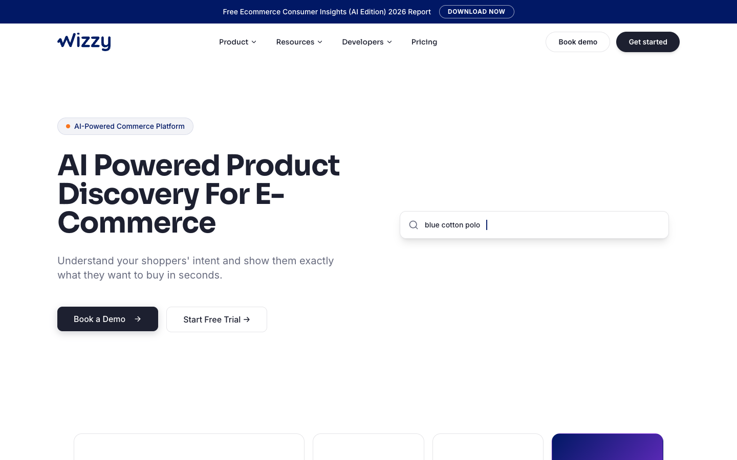 Wizzy landing_page